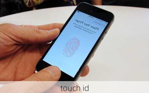 touch id-第1张图片-模头数码科技网