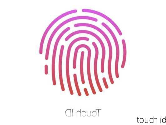 touch id-第3张图片-模头数码科技网