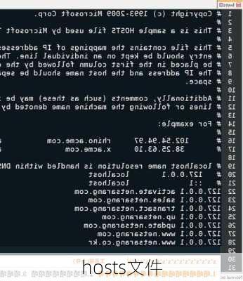 hosts文件-第3张图片-模头数码科技网