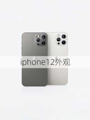 iphone12外观-第2张图片-模头数码科技网