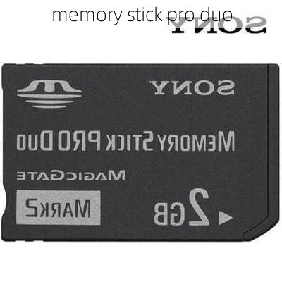 memory stick pro duo-第1张图片-模头数码科技网