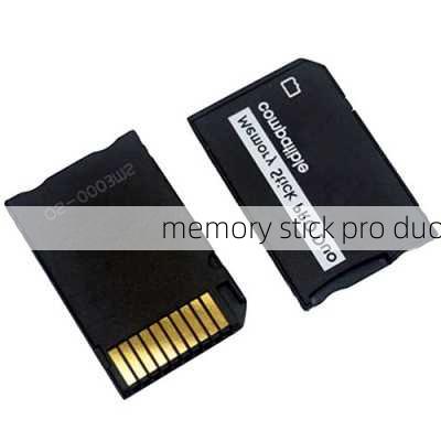 memory stick pro duo-第2张图片-模头数码科技网