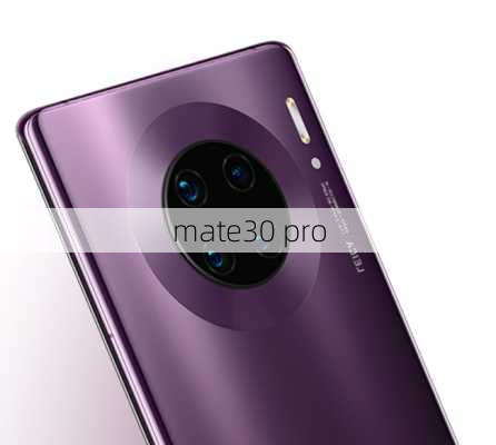 mate30 pro