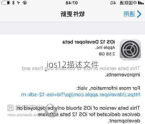 ios12描述文件-第1张图片-模头数码科技网