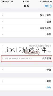 ios12描述文件-第3张图片-模头数码科技网