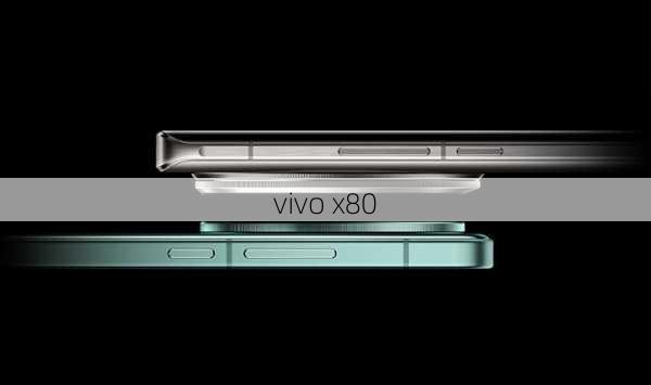 vivo x80-第1张图片-模头数码科技网