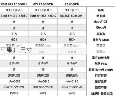 苹果11尺寸-第3张图片-模头数码科技网