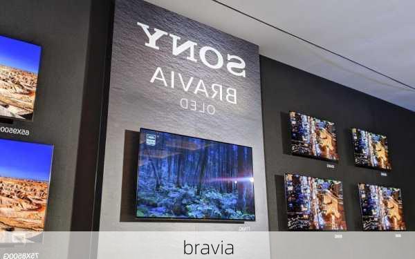 bravia-第3张图片-模头数码科技网