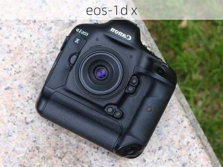 eos-1d x-第3张图片-模头数码科技网