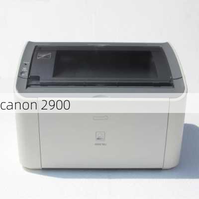 canon 2900-第2张图片-模头数码科技网