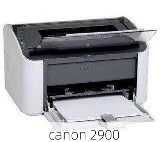 canon 2900-第1张图片-模头数码科技网