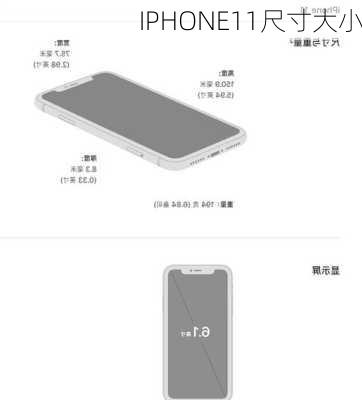 IPHONE11尺寸大小-第1张图片-模头数码科技网