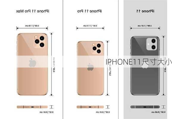 IPHONE11尺寸大小-第2张图片-模头数码科技网