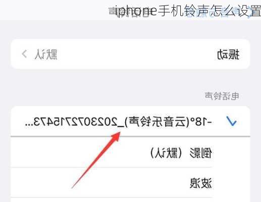 iphone手机铃声怎么设置-第3张图片-模头数码科技网