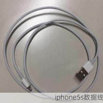 iphone5s数据线-第1张图片-模头数码科技网