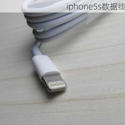 iphone5s数据线-第2张图片-模头数码科技网