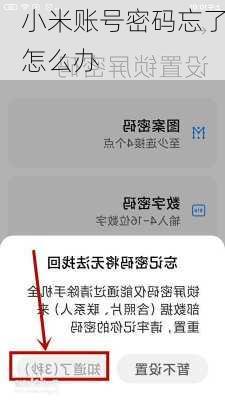 小米账号密码忘了怎么办-第3张图片-模头数码科技网