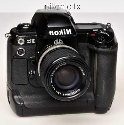 nikon d1x-第3张图片-模头数码科技网