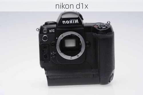 nikon d1x-第2张图片-模头数码科技网