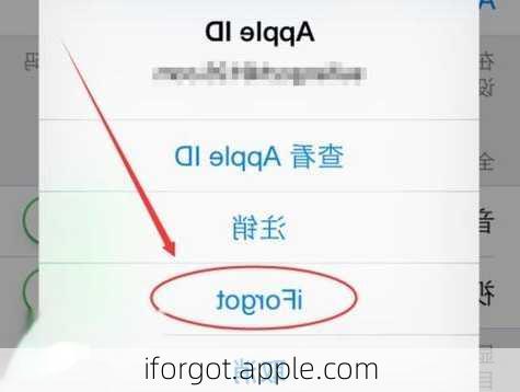 iforgot.apple.com-第3张图片-模头数码科技网