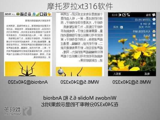 摩托罗拉xt316软件-第3张图片-模头数码科技网