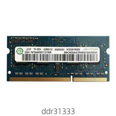 ddr31333