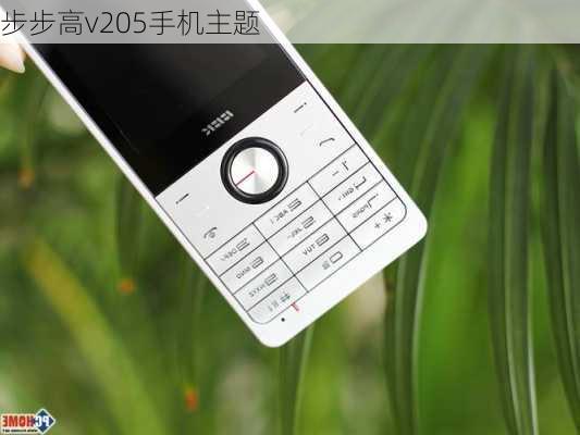 步步高v205手机主题-第1张图片-模头数码科技网