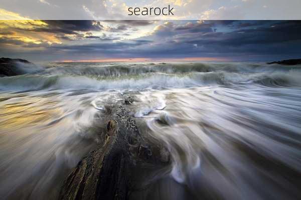 searock-第1张图片-模头数码科技网