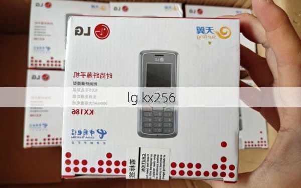 lg kx256-第1张图片-模头数码科技网