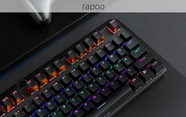 rapoo-第1张图片-模头数码科技网