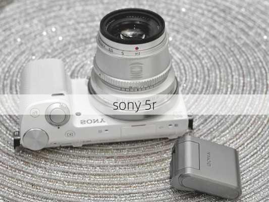 sony 5r-第2张图片-模头数码科技网