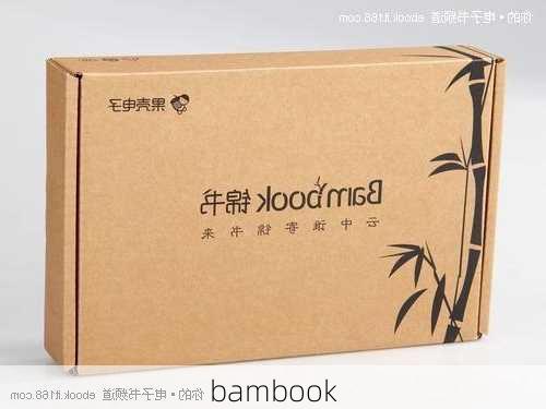 bambook-第3张图片-模头数码科技网