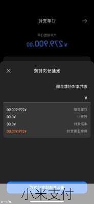 小米支付-第3张图片-模头数码科技网