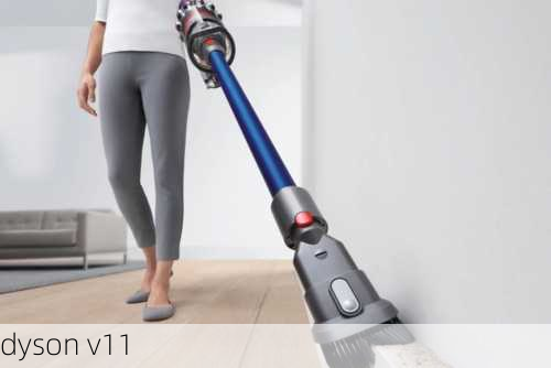 dyson v11-第2张图片-模头数码科技网