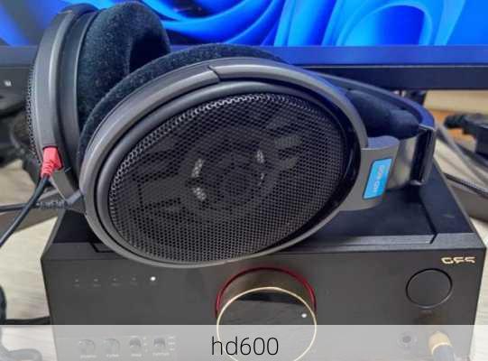 hd600-第2张图片-模头数码科技网