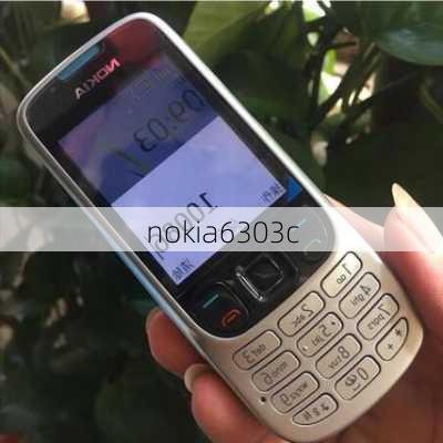 nokia6303c-第1张图片-模头数码科技网