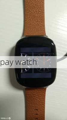 pay watch-第3张图片-模头数码科技网