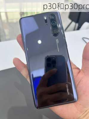 p30和p30pro-第3张图片-模头数码科技网