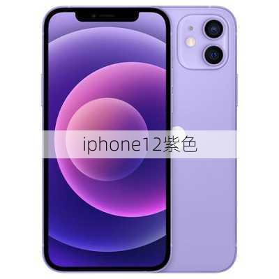 iphone12紫色-第1张图片-模头数码科技网