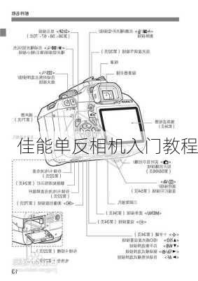 佳能单反相机入门教程-第1张图片-模头数码科技网