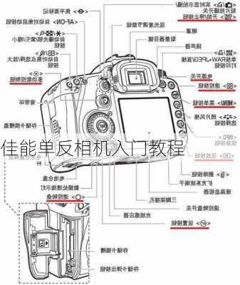 佳能单反相机入门教程-第2张图片-模头数码科技网