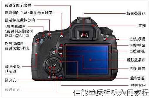 佳能单反相机入门教程-第3张图片-模头数码科技网