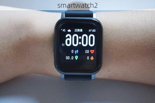 smartwatch2-第1张图片-模头数码科技网