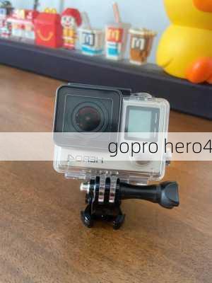 gopro hero4-第3张图片-模头数码科技网