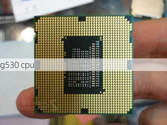 g530 cpu-第2张图片-模头数码科技网