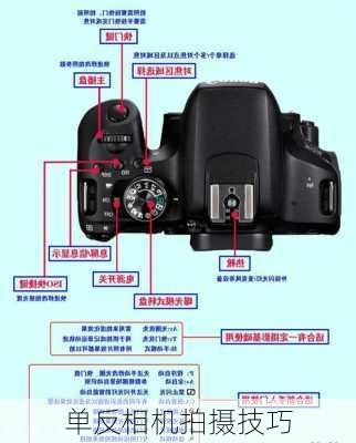 单反相机拍摄技巧-第2张图片-模头数码科技网