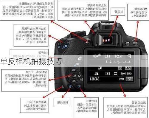 单反相机拍摄技巧-第3张图片-模头数码科技网