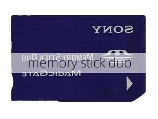 memory stick duo-第2张图片-模头数码科技网