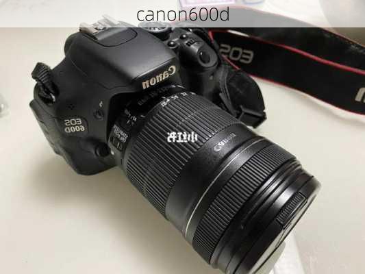 canon600d-第3张图片-模头数码科技网