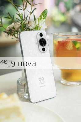 华为 nova-第2张图片-模头数码科技网